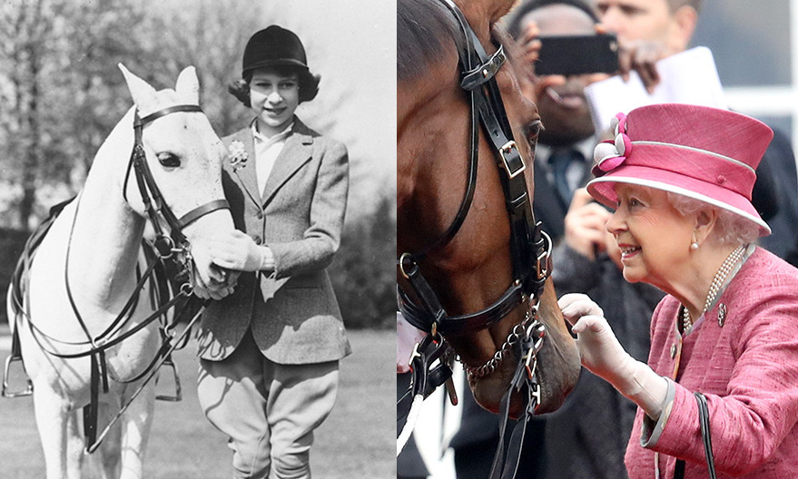 Horses Of Queen Elizabeth II